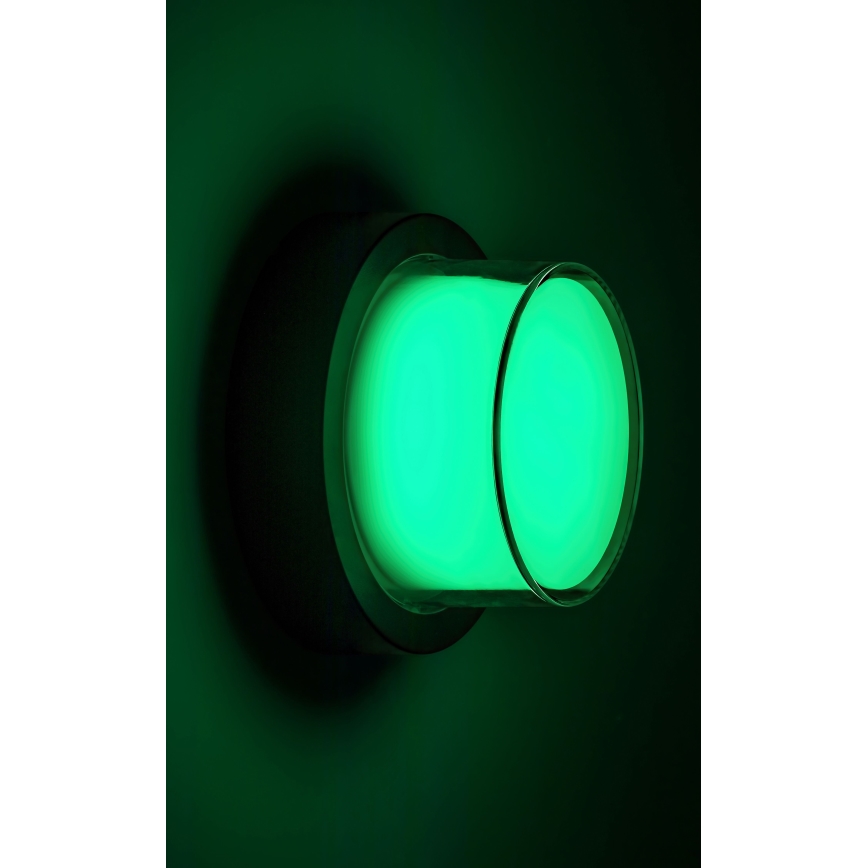 Rabalux - LED RGBW Udendørs væglampe LED/10W/230V IP54 Wi-Fi Tuya