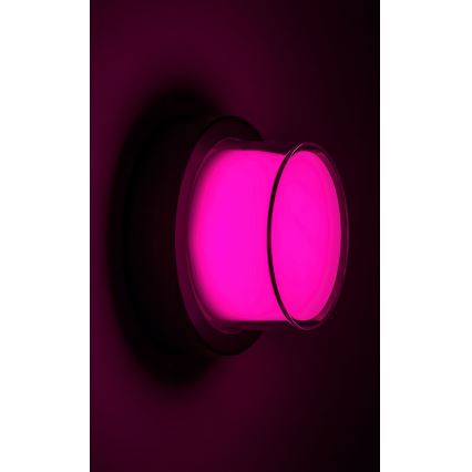 Rabalux - LED RGBW Udendørs væglampe LED/10W/230V IP54 Wi-Fi Tuya