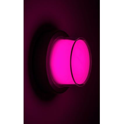 Rabalux - LED RGBW Udendørs væglampe LED/10W/230V IP54 Wi-Fi Tuya