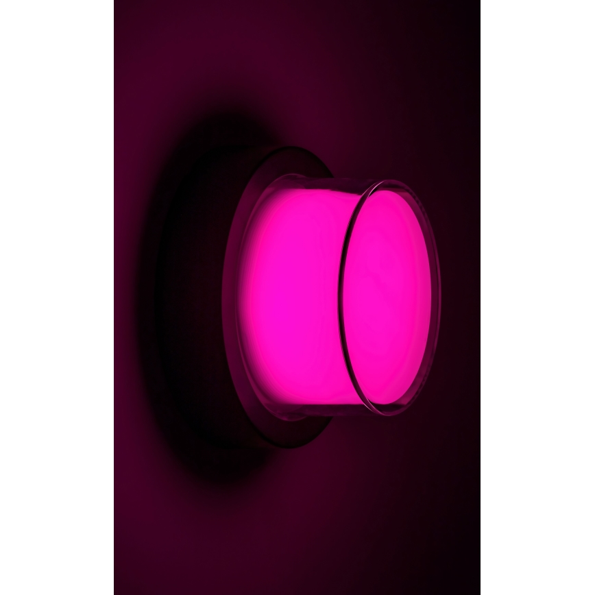 Rabalux - LED RGBW Udendørs væglampe LED/10W/230V IP54 Wi-Fi Tuya