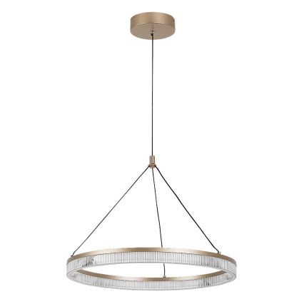 Rabalux - LED dæmpbar pendel på wire LED/24W/230V 3000-6500K + fjernbetjening