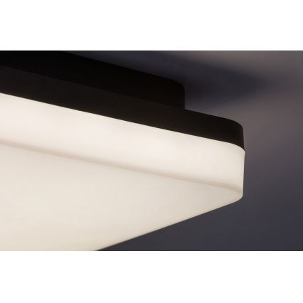 Rabalux - LED loftlampe til badeværelse LED/24W/230V IP54