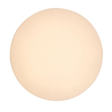Rabalux - LED badeværelsesloftlampe LED/24W/230V IP54