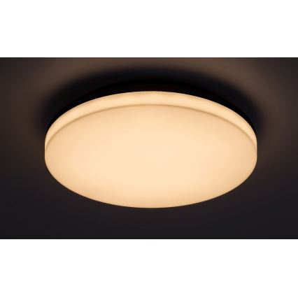 Rabalux - LED loftlampe til badeværelse LED/24W/230V IP54