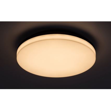 Rabalux - LED loftlampe til badeværelse LED/24W/230V IP54