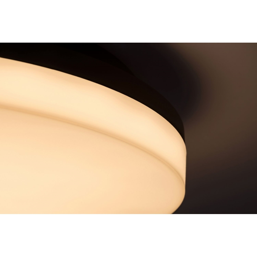 Rabalux - LED loftlampe til badeværelse LED/24W/230V IP54