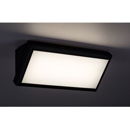 Rabalux - Udendørs LED væglampe LED/12W/230V IP54