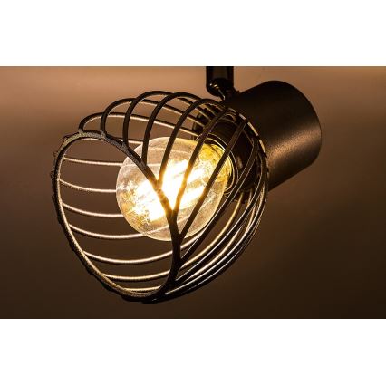 Rabalux - Spotlampe 3xE14/10W/230V