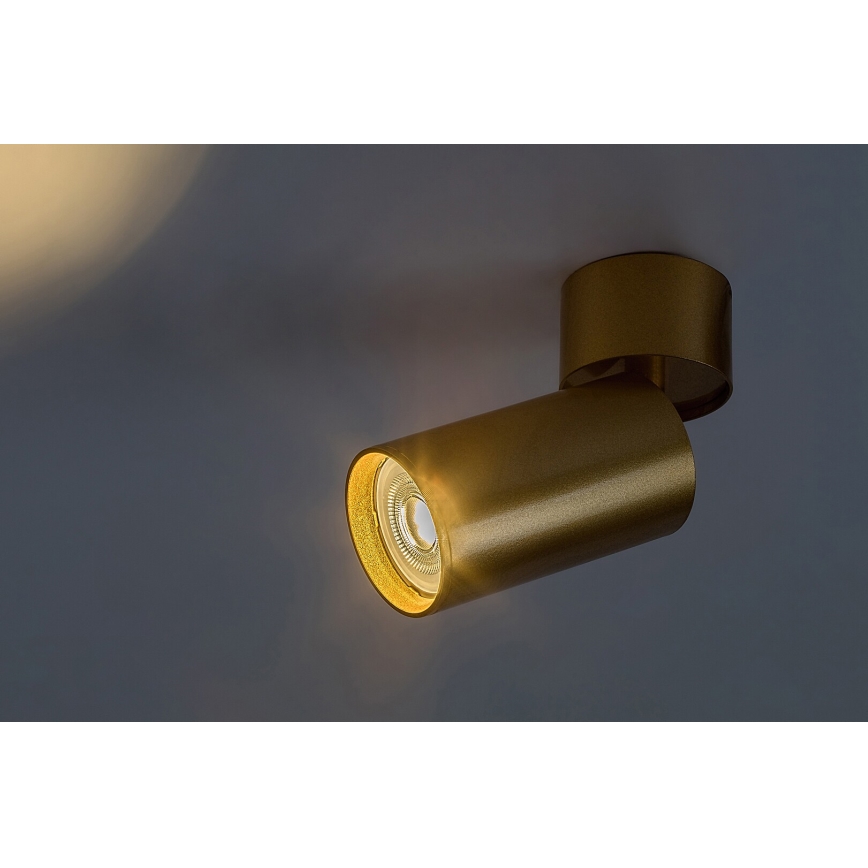 Rabalux - Spotlampe 1xGU10/5W/230V guldfarvet