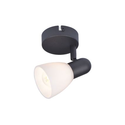 Rabalux - Spotlampe 1xE14/40W/230V
