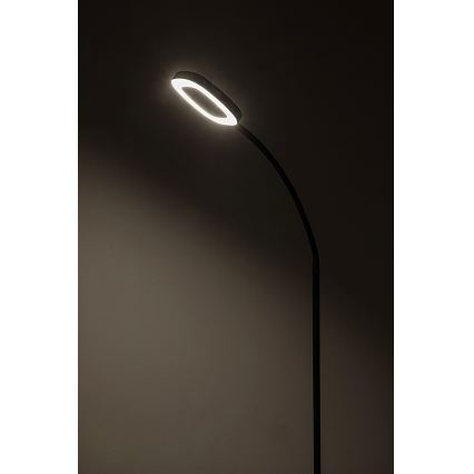 Rabalux - LED gulvlampe m. touch-funktion dæmpbar LED/11W/230V 3000K