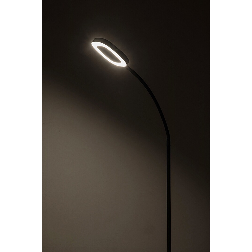Rabalux - LED gulvlampe m. touch-funktion dæmpbar LED/11W/230V 3000K