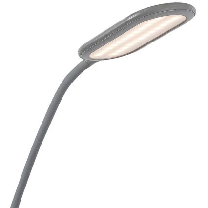 Rabalux 74010 - LED gulvlampe m. touch-funktion dæmpbar ADELMO LED/10W/230V grå