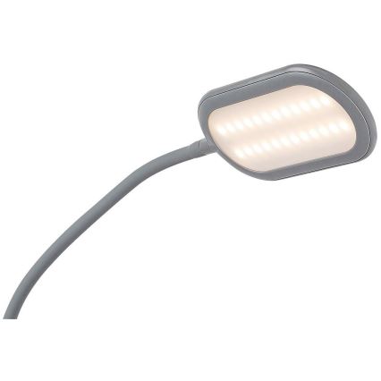 Rabalux 74010 - LED gulvlampe m. touch-funktion dæmpbar ADELMO LED/10W/230V grå