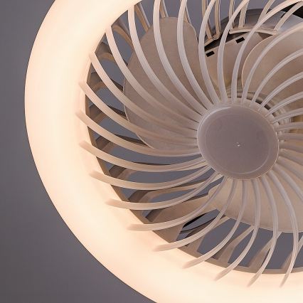 Rabalux - LED-dæmpbar gulvlampe med ventilator Ø 30 cm 1xE27/16W/230V 3000-6500K + fjernbetjening
