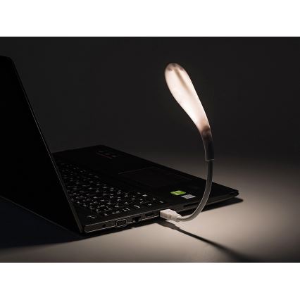 Rabalux - Fleksibel LED USB lampe LED/2W/5V