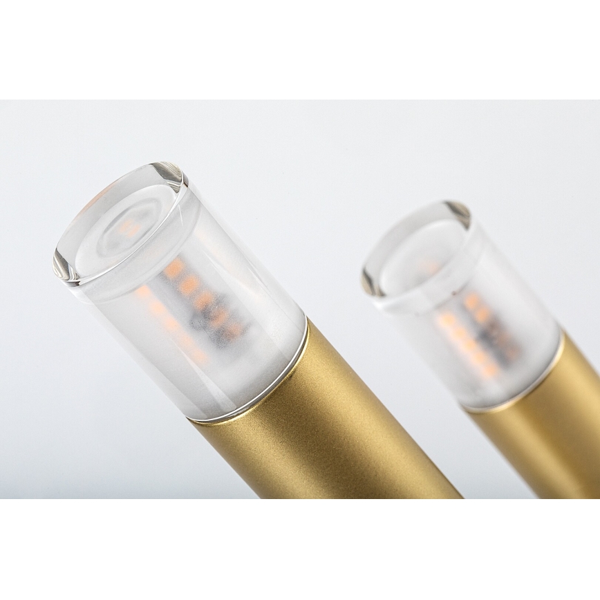 Rabalux - Bordlampe 3xG9/5W/230V guldfarvet
