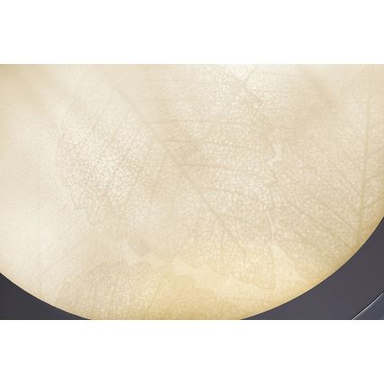 Rabalux - Badeværelsesloftlampe 2xE27/40W/230V IP44 Ø 30 cm