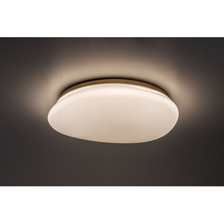 Rabalux - LED loftlampe til badeværelset LED/24W/230V IP44 Ø 41 cm