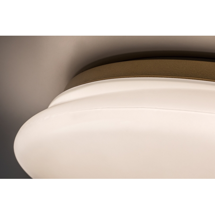 Rabalux - LED loftlampe til badeværelset LED/24W/230V IP44 Ø 41 cm