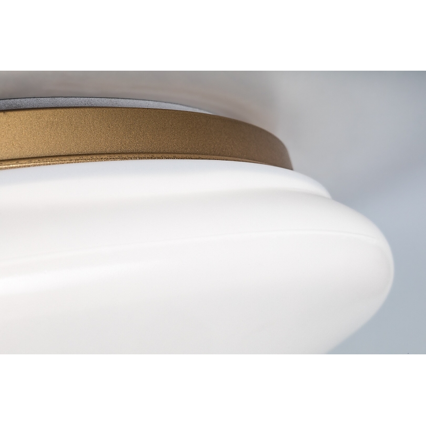 Rabalux - LED loftlampe til badeværelset LED/24W/230V IP44 Ø 41 cm