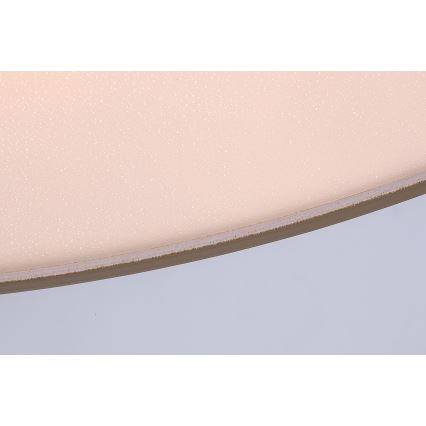 Rabalux - Udendørs loftlampe 3xE27/9W/230V Ø 39 cm IP43 beige