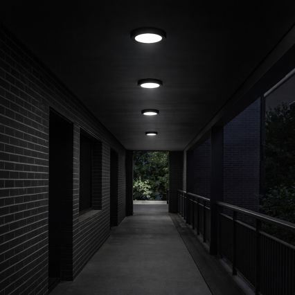 Rabalux - LED badeværelsesloftlampe LED/24W/230V Ø 22 cm IP44 sort