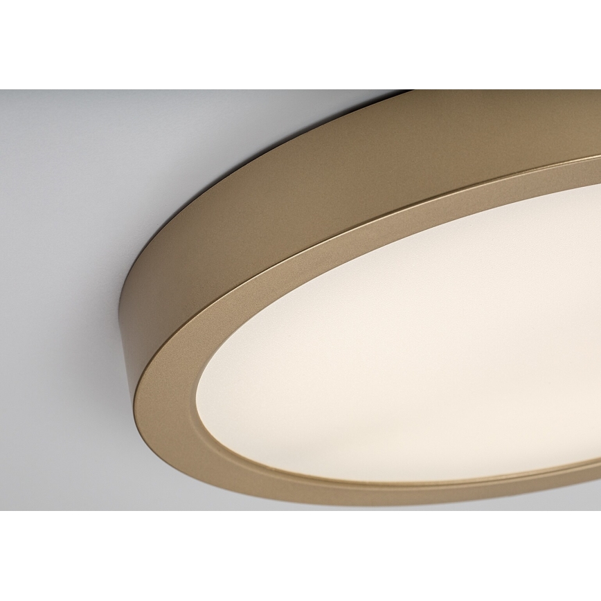Rabalux - LED badeværelsesloftlampe LED/30W/230V Ø 30 cm IP44 guldfarvet