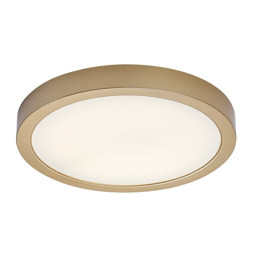 Rabalux - LED badeværelsesloftlampe LED/30W/230V Ø 30 cm IP44 guldfarvet