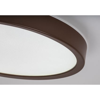 Rabalux - LED loftlampe til badeværelse LED/18W/230V 3000/4000/6000K Ø 29 cm IP44 brun