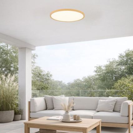 Rabalux - LED badeværelsesloftlampe LED/24W/230V 3000/4000/6000K diameter 40 cm IP44 beige