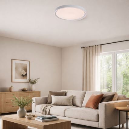 Rabalux - Dæmpbar LED loftlampe LED/31W/230V IP40 3000-6500K Ø 41,5 cm + fjernbetjening