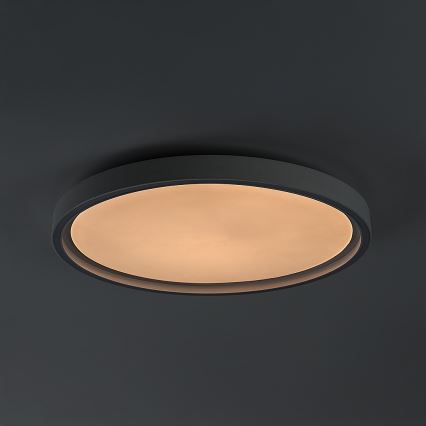 Rabalux - Dæmpbar LED loftlampe LED/31W/230V IP40 3000-6500K Ø 41,5 cm + fjernbetjening