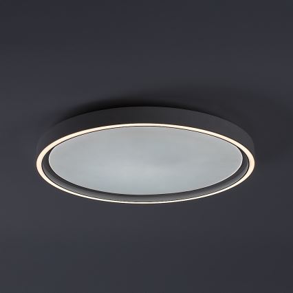 Rabalux - Dæmpbar LED loftlampe LED/31W/230V IP40 3000-6500K Ø 41,5 cm + fjernbetjening