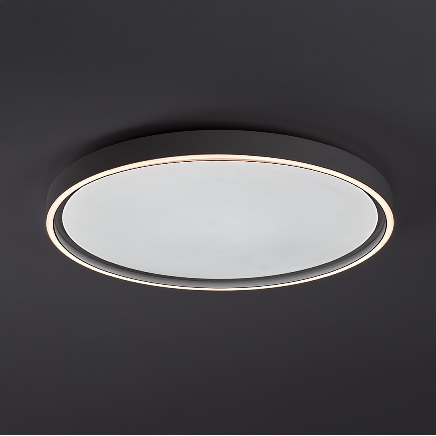 Rabalux - Dæmpbar LED-loftlampe LED/54W/230V IP40 3000-6500K Ø 52 cm + fjernbetjening