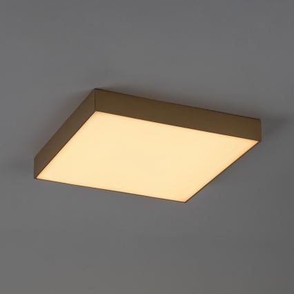 Rabalux - LED badeværelsesloftlampe LED/24W/230V 2800/4000/6000K IP44