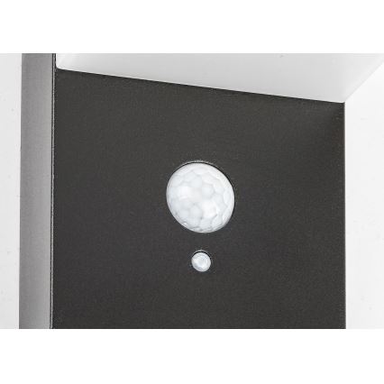 Rabalux - LED solcellelampe med sensor LED/6W/3,7V IP44