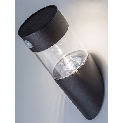 Rabalux - LED solcellelampe med sensor LED/1,5W/3,7V IP44