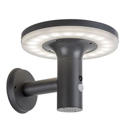 Rabalux - LED solcellelampe med sensor LED/10W/3,7V IP44