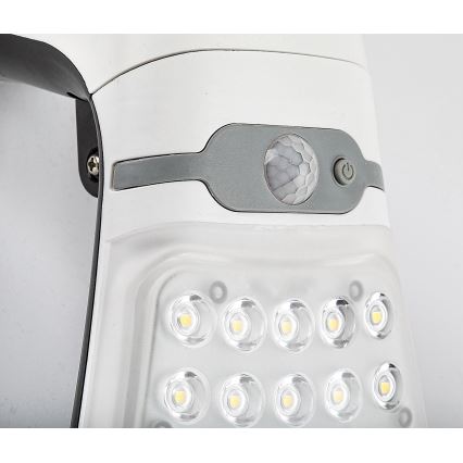 Rabalux - LED solcellelampe med sensor dæmpbar LED/4W/3,7V IP44