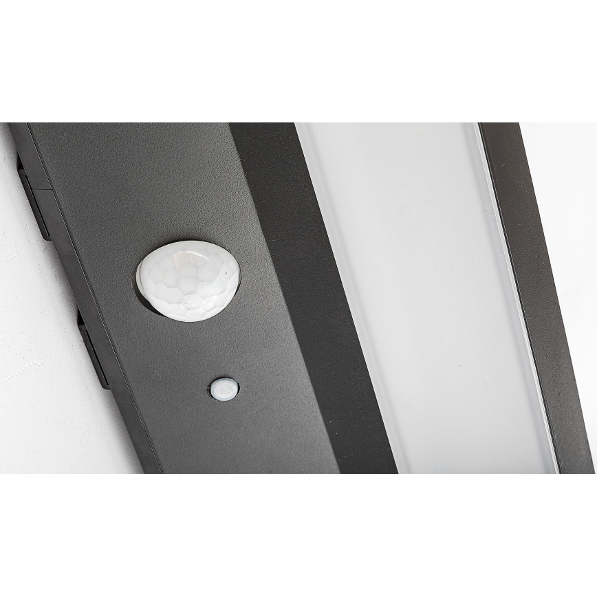 Rabalux - LED solcellelampe med sensor LED/6W/3,7V IP44 2200 mAh