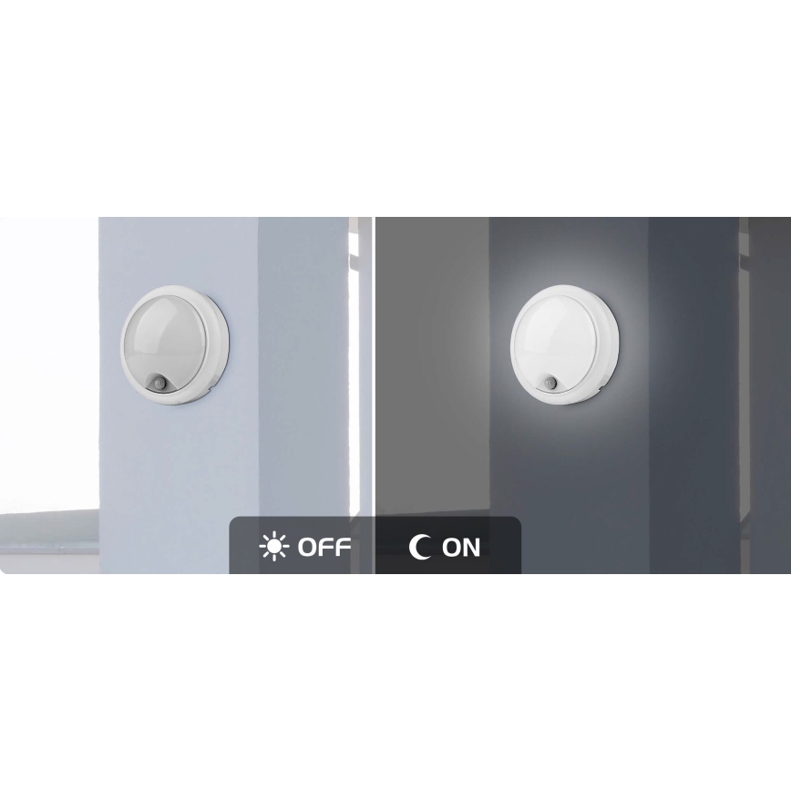 Rabalux - LED Udendørs væglampe med sensor LED/15W/230V IP54