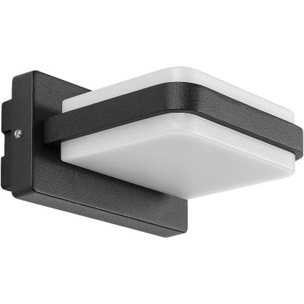 Rabalux - Udendørs LED væglampe LED/12W/230V IP44 sort