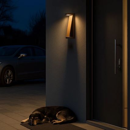 Rabalux - LED udendørs væglampe LED/13W/230V IP65 brun