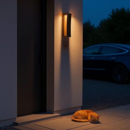 Rabalux - LED udendørs væglampe LED/13W/230V IP65 brun