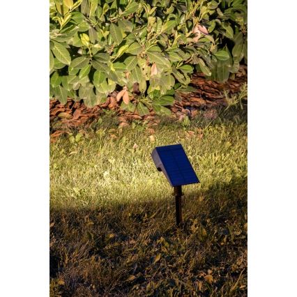Rabalux - LED Solcellelampe LED/0,5W/3,7V IP65 sort 3000 mAh