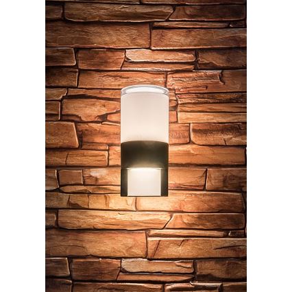 Rabalux - Udendørs LED væglampe LED/12W/230V IP44
