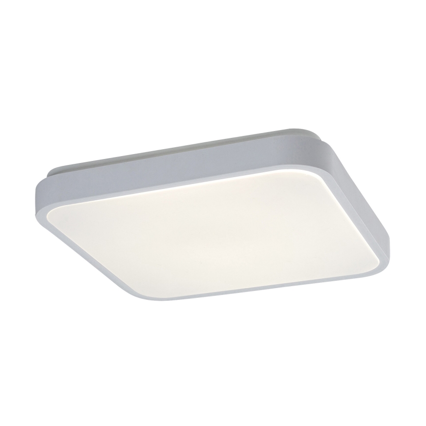 Rabalux - LED loftlampe til badeværelse med sensor LED/18W/230V 4000K IP44