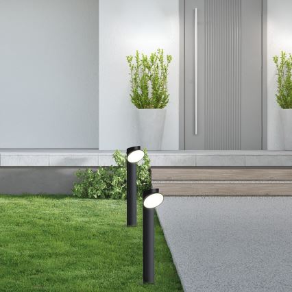 Rabalux - LED udendørslampe LED/12W/230V IP54