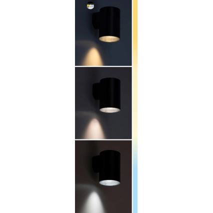 Rabalux - Udendørs LED væglampe LED/18W/230V 2700/4000/6500K IP65 sort